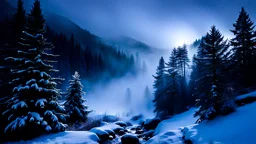 ,fir forrest scenery, heavy mist,mist shadows,valley,creek,forest,,tree,,nature,night,snow,fir tree,night,holy night