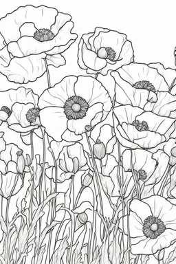 flowers coloring page for kids, poppy, cartoon style, thick outline, low details, no shading, no color