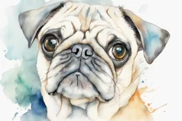 Pug sketch portrait watercolor, white background, vibrancy of watercolor wash, highly detailed, with sharp focus and smooth transitions. Carne Griffiths, Wadim Kashim, Carl Larsson, Pascal Blanche, golden ratio, masterpiece, trend on CGSociety and Artstation, bottomless, impressive, something that does not even exist, textures, iridescent scales and luminescent, impressive beauty, pure perfection, divine presence, unforgettable beauty, impressive, impressive, volumetric light,