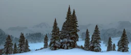 mountain range pine wood in the snow by Andrea del sarto