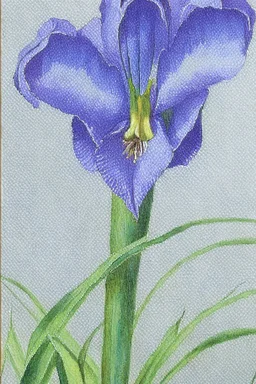 a painting of a blue iris by artist "Hiroshi Kobayashi"