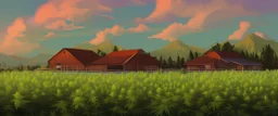 MARIJUANA farm by Andrea del sato