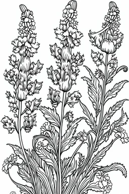 Outline art for coloring page, GARDEN OF SNAPDRAGON FLOWERS, coloring page, white background, Sketch style, only use outline, clean line art, white background, no shadows, no shading, no color, clear