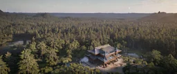 top view that warm, a huge library in forest with fireflies around trees that have wide leaves and broad trunked at night with moonlight.