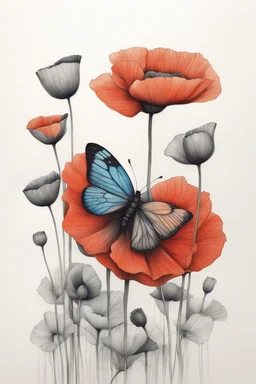 A colourful butterfly Minimalist ink pencil and charcoal drawing of poppies