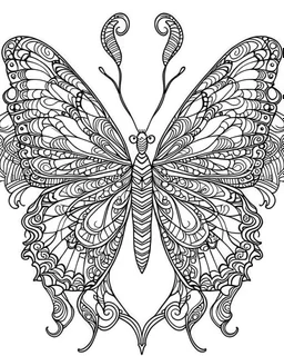 Page coloring book, mandala butterfly, white Background, clean line art