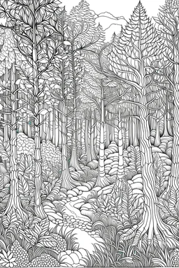 Forest Coloring Book 16000