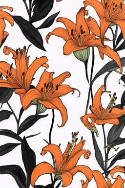 A black hour with the orange tiger lily flower