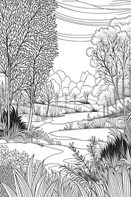 minimalistic adult coloring pages, landscape garden, black and white, no gray scale, clear lines--ar9:11