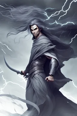 elf, male, with flowing grey robes, no armor, with two sabres, in the field, with a storm overhead, dynamic pose, lineart style