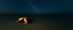 floating sea star reflecting the night sky