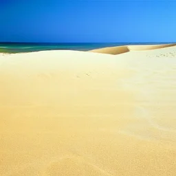 the sand and the beach