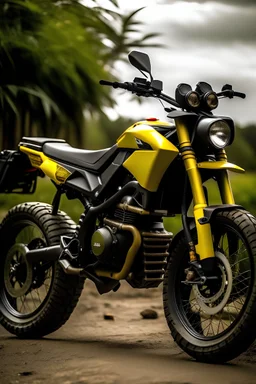 bee adventure motorcycle