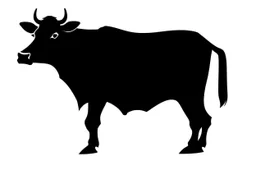 Aubrac cow clipart style simple stencil