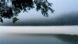 fog over the lake