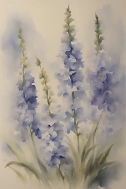 Watercolour of delphiniums in the style of willem henraets