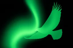 graphic shape of the aurora borealis with slight resemblance to a bird of prey in flight. smooth vector on black