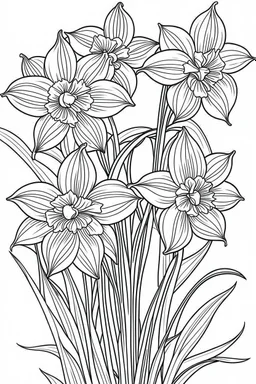 Outline art for coloring page, DAFFODILS WITH STEMS, coloring page, white background, Sketch style, only use outline, clean line art, white background, no shadows, no shading, no color, clear