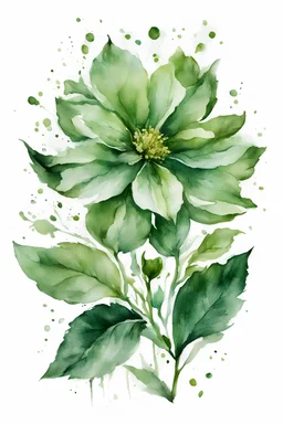 green flower water color on white background