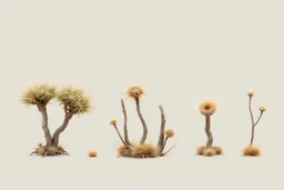 "Isolated concept art of multiple types of alien tree plant on a plain neutral background. Designed for Desert biome – dry, spiky, brittle grass with sharp edges, , and pale dusty colors