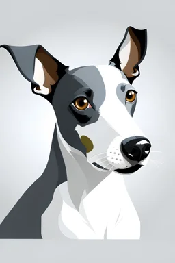 modern illustration of all gray head with white body american rat terrier