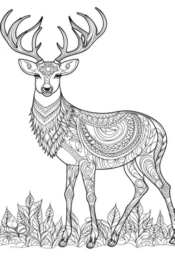 coloring book image of a deer