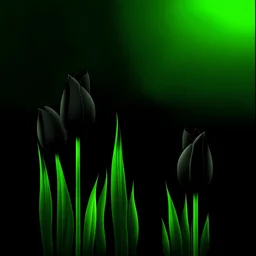 Create black tulip and green background