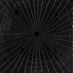 an image of a spiderweb on a black background so we can see the spiderwebs' shape