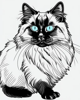 Birman Cat Breed clean sharp 64 K clipart line art