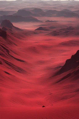 a red blooded desert valley