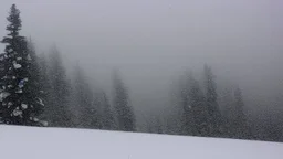 snowstorm in the hills