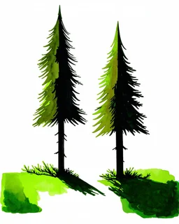 2 isolated spruce/pine trees with ground shadow, stylized graphic with watercolor