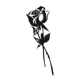 two vector roses, high quality