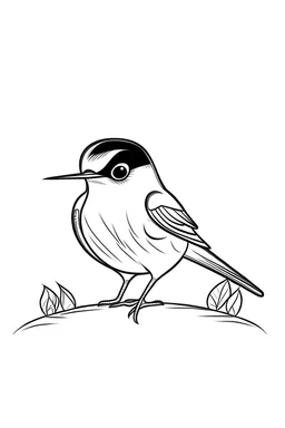 Simple on line draw for kids of a cute tiny cartoon 'American Redstart (bird)' inolated on white, white background, without color, black and white, full image