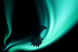 graphic shape of the aurora borealis with bottom edge resemblance to an hawk in flight. smooth vector on black