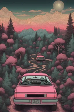 dribing a car, retuning the radio inside and outside is trippy nature