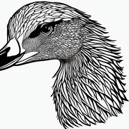 line drawing of a soaring snow goose