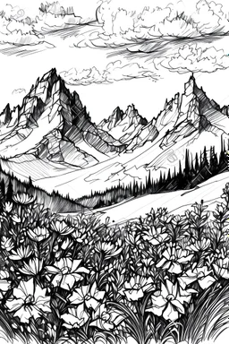 Flowers surrounded by mountains in the High Tatras, under Kriváň mountain, Slovakia, sketch drawing