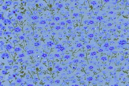 top view pattern of forget-me-not flowers