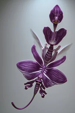 houdini render, highly sharpen detailed beautiful photography of flower, hybrid beautiful photography dragonfly hide in flower, electric, holographic sketch orchid,sharp focus, low contrast, dynamic lighting, elegant, harmony, beauty, masterpiece, by durero, by moebius, by josan gonzalez, ultra lots of high detail, octane render, 8k