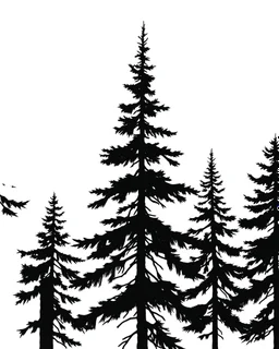 fir/pine tree silhouette, black on white detailed