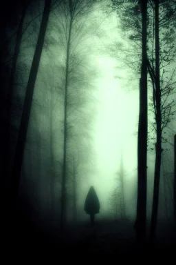 dark, foggy weather, night, forest, black, horror, art, evil, dark effect, white eyes, shadows,