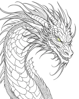 I need a dragon outline ,no shadow only clear outline and backgroun