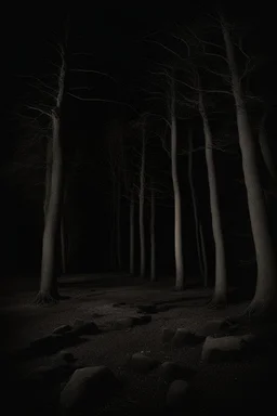 Night, trees, rocks, mountains, creepy, gothic horror films influence, photography