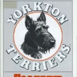 an orange circle containing a black and white image of a Scottish terrier