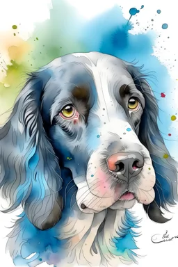 whimsical water color of blue roan springer spaniel