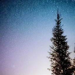 Stars glittering over the pine clad mountains