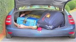 paranoid housekeeping thief hiding baggage in their car trunk