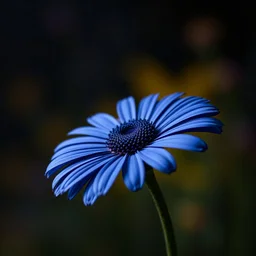 Create dark big blue daisy and dark multicoloured background