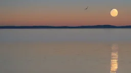 evening atmosphere calm and solitude, lake + moon, horizon + wind